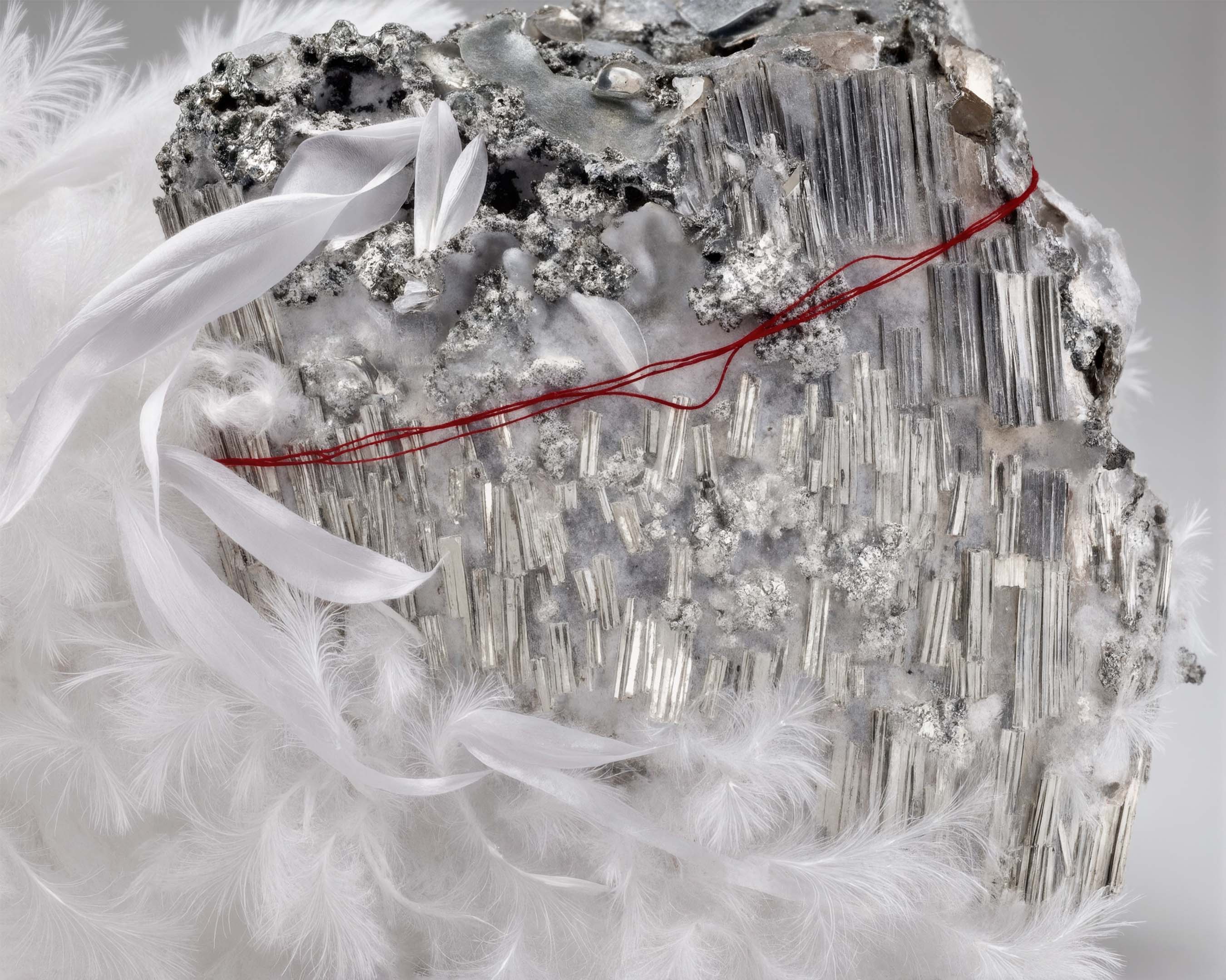 Dawn Whispers L'Entropiste