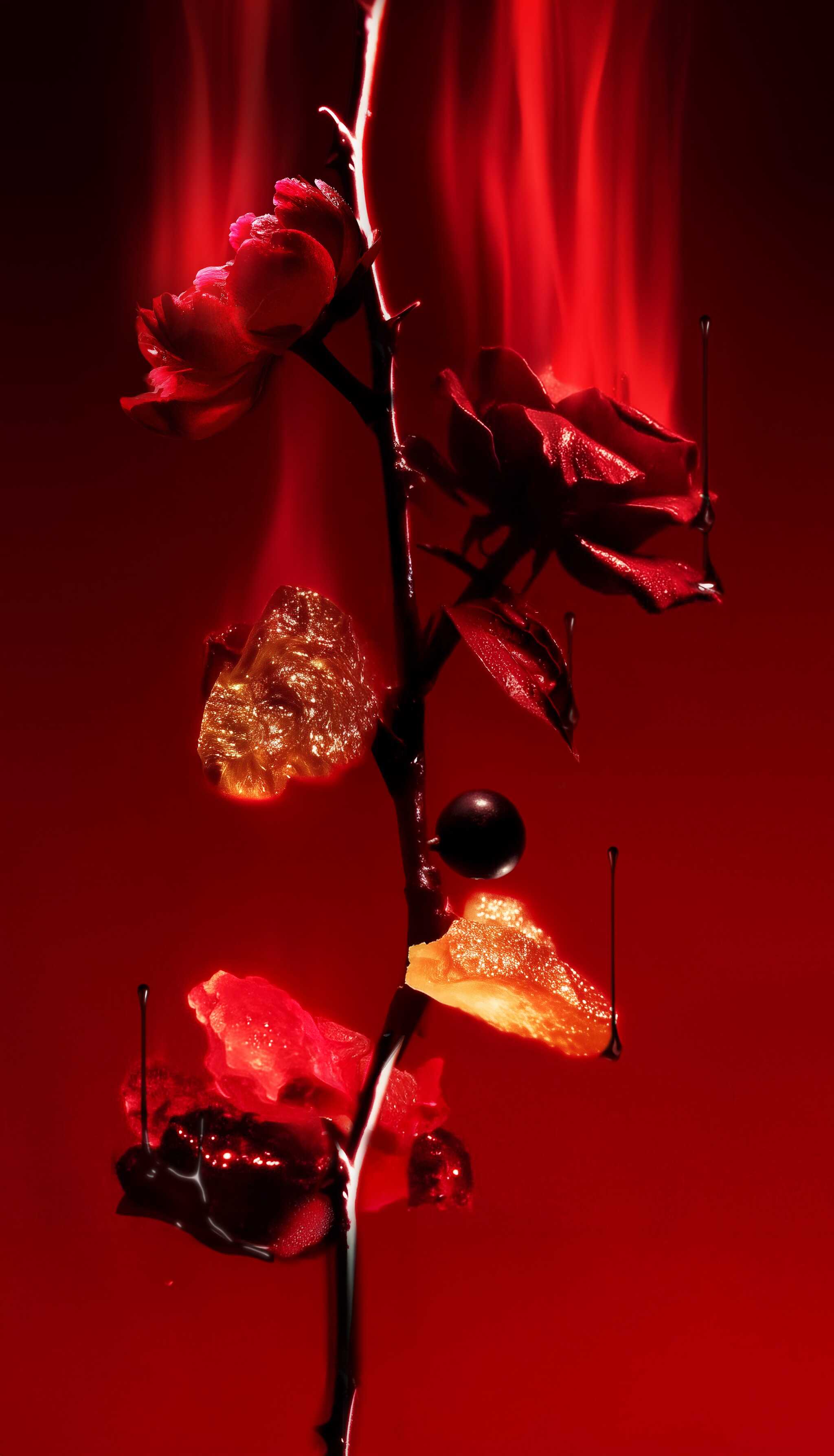 Ensang Noir L'Entropiste