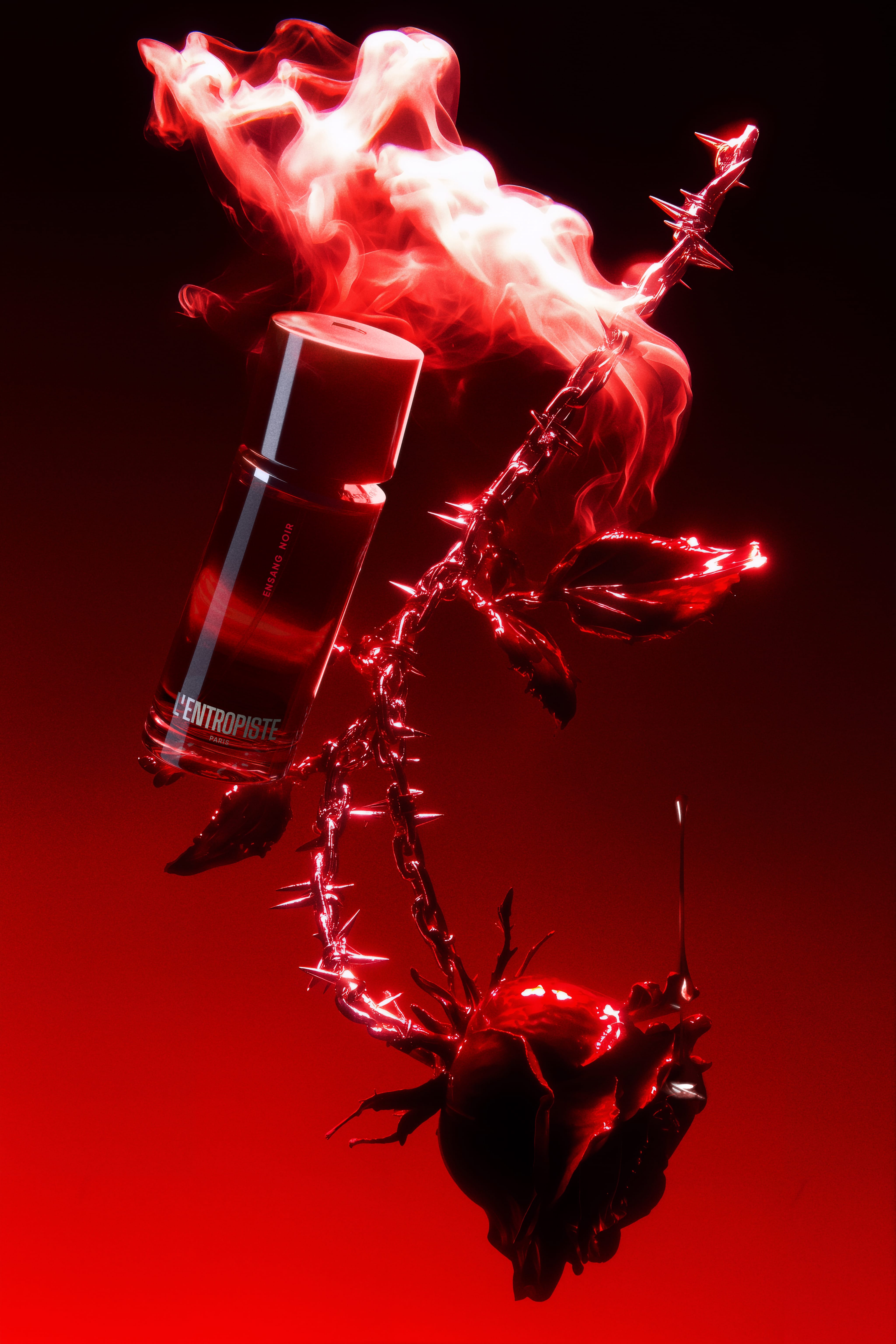 Ensang Noir L'Entropiste