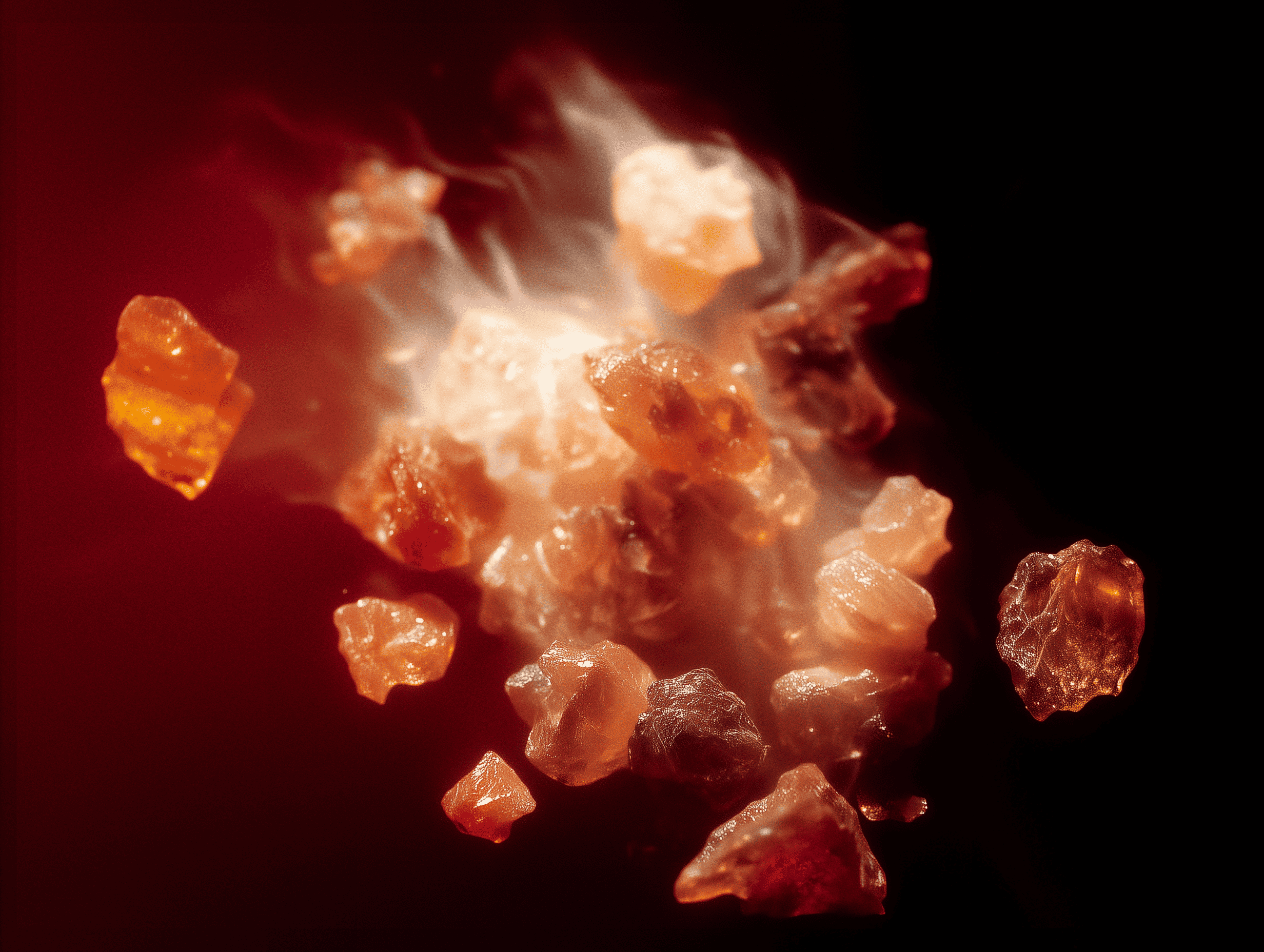 Ensang Noir L'Entropiste