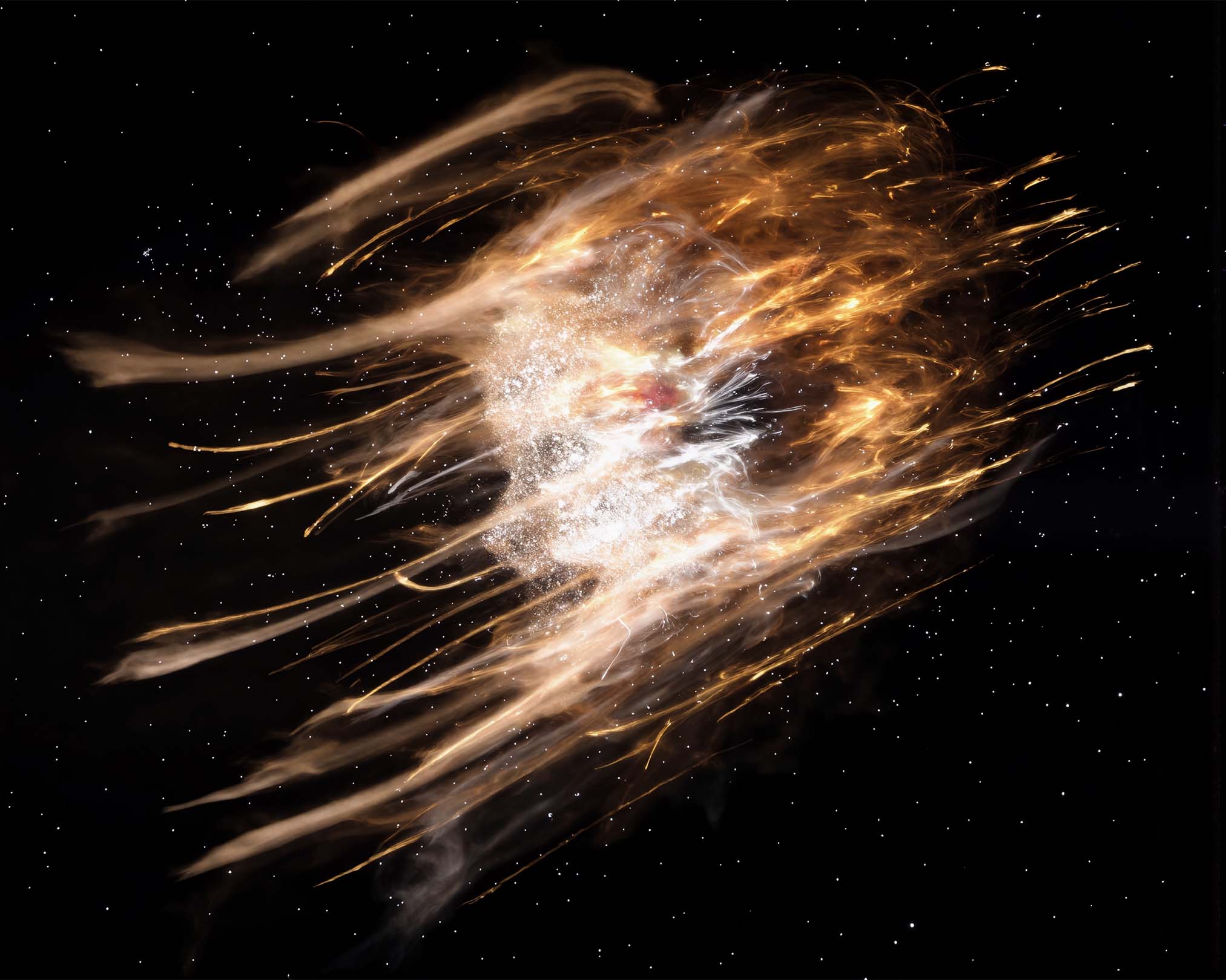 Altamura L'Entropiste