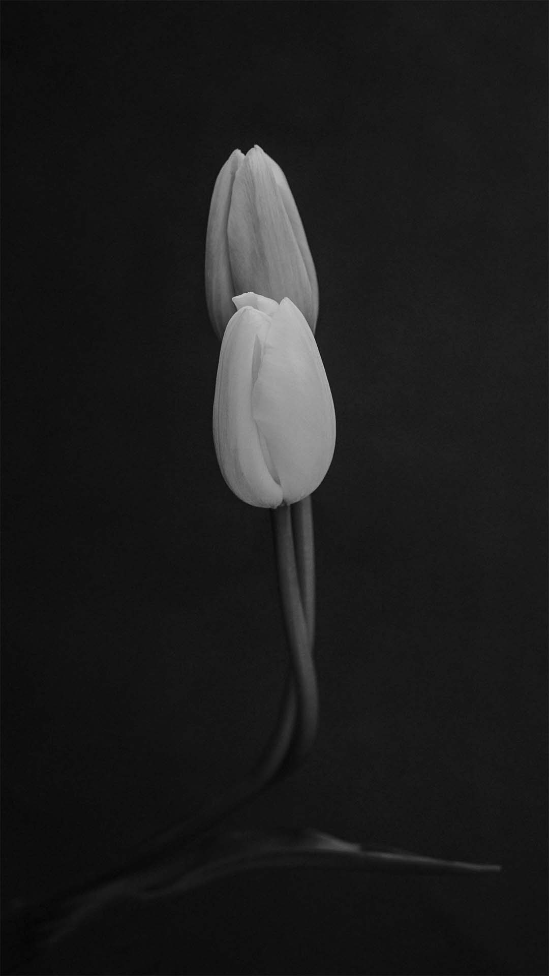 Travel Size - Semence Douce L'Entropiste