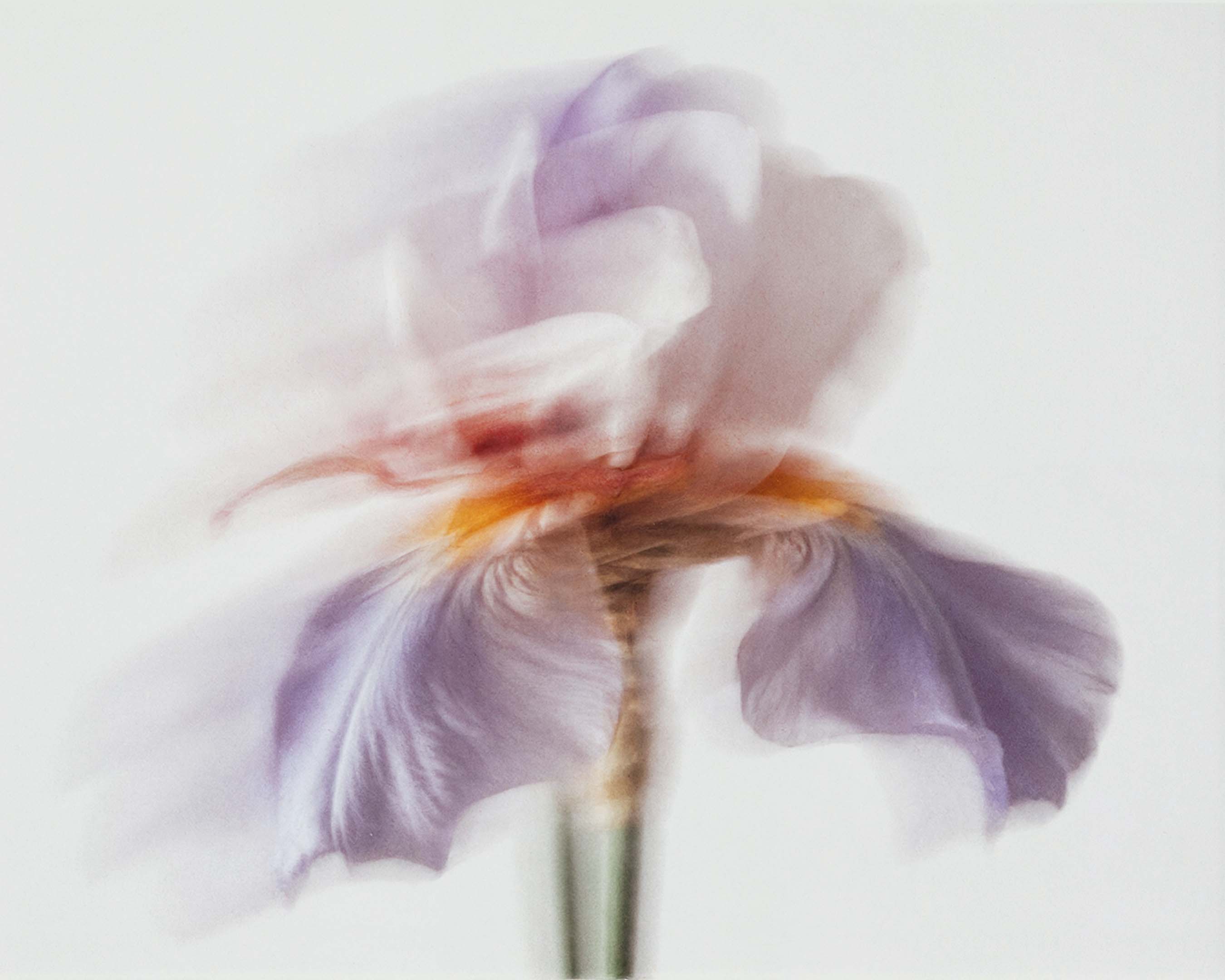 Blanc Sada L'Entropiste