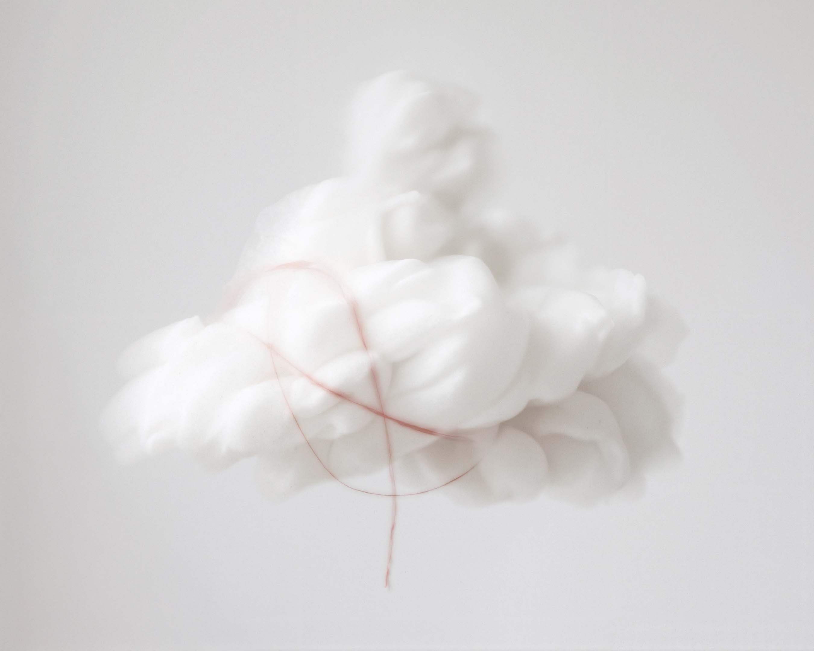 Dawn Whispers L'Entropiste