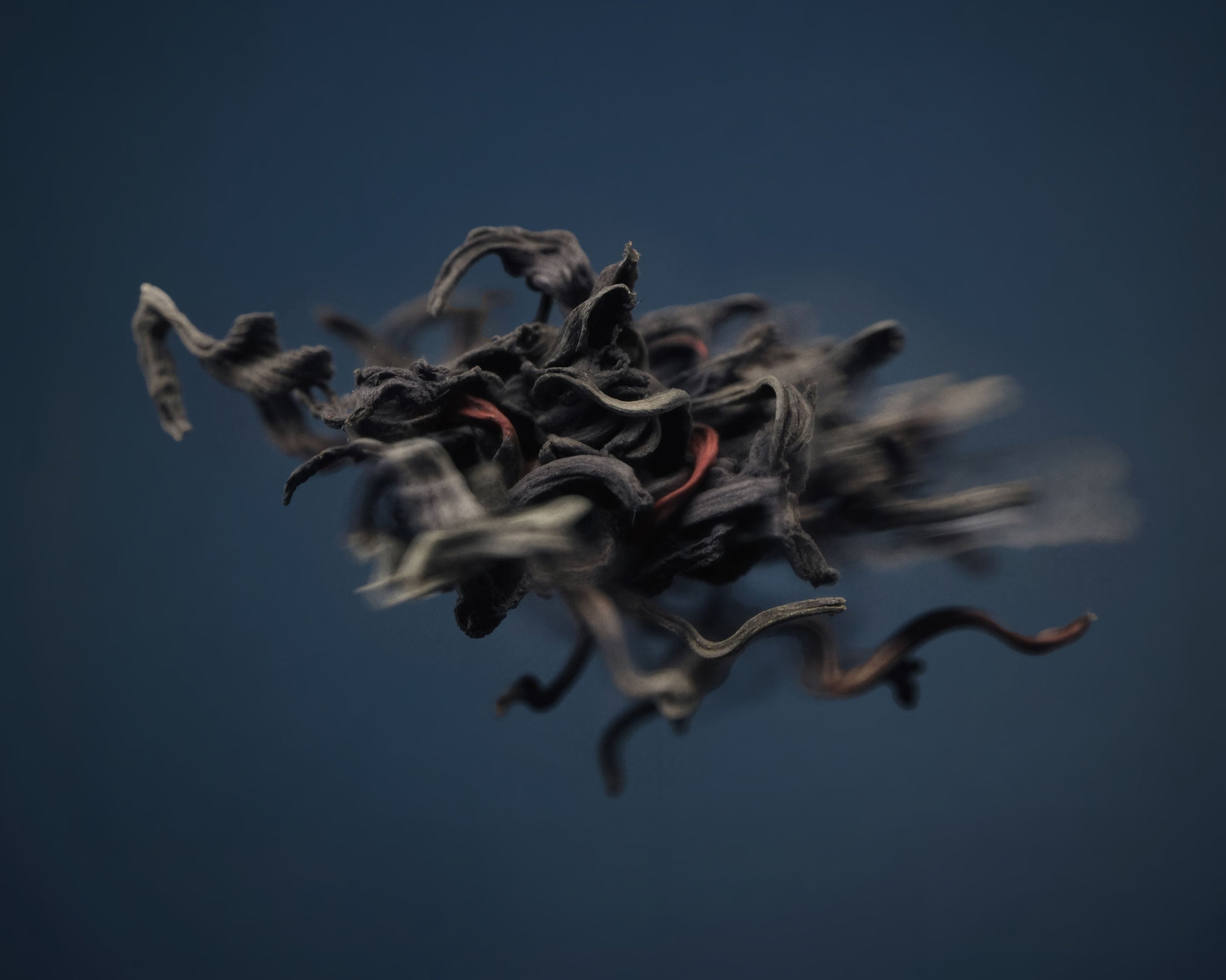 Jodhpur 6am L'Entropiste